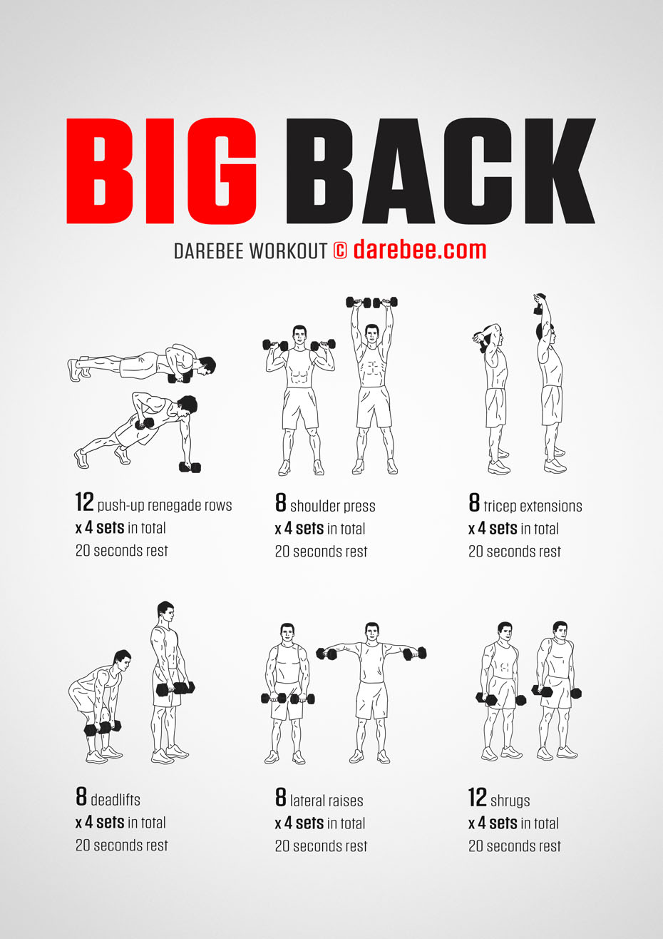 Dumbbell Back Exercises