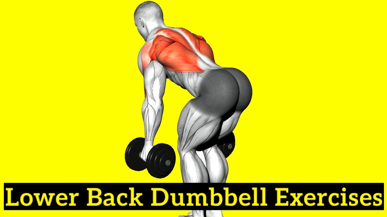 Effective Dumbbell Exercises